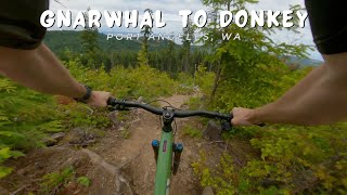 Gnarwhal to Donkey / Port Angeles, WA / MTB