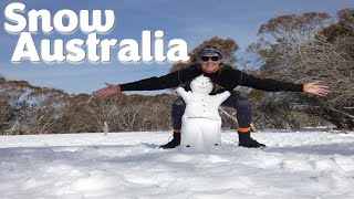 Car Camp: Pajero snow campout & Learning...