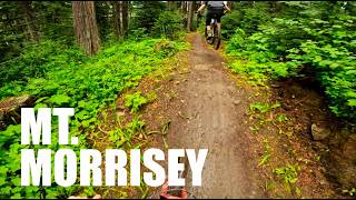 SunPeaks Pedal Access Bike Park | Mt. Morrisey