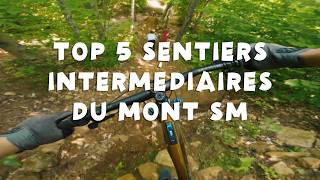 Mon Top 5 sentiers intermédiaire du Mont SM...