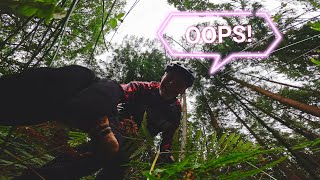 Roots, Rocks & Speed In The Forest Of Dean.