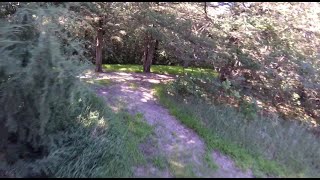 Cottonmill Park MTB trails - 'Whistler -1.0',...