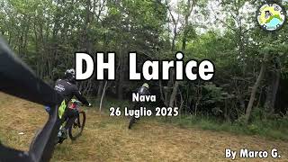 DH Larice (Zona Nava/Viozene)