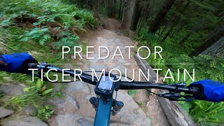 Predator - Tiger Mountain - Issaquah,...