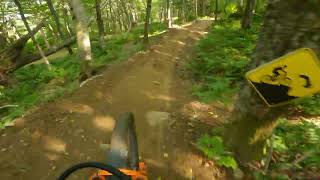 MSA Vietnam (Trail conditions 20250729)
