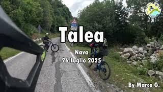 Talea  Trail  (Zona Nava/Viozene)