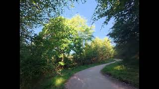 Haldon Forest Spicers & Kiddens