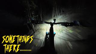 Anxiety filled night ride with only one light...