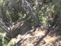 2015 06 Whistler MTB at Duncans Trail