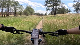Meadow - Mount Herman - Monument - Colorado