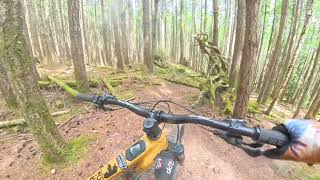 Yer Mom (black) Hornby Island