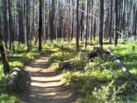 2011 08 MTB Loon Lake Trail #1