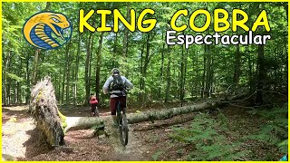 La famosa King Cobra Living Enduro MTB
