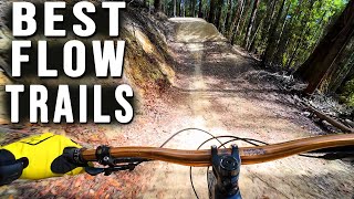 Best FLOW trails | Maydena Bike park