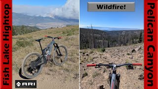 Wildfire Watching & Rock Surfing on Fish...