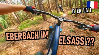 WISSEMBOURG ELSASS Enduro VTT de la Scherhol:...