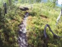 Sweden, Hemavan Bike Park Trail Nr 4