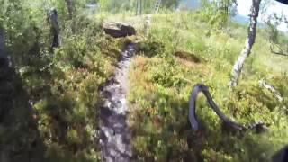 Sweden, Hemavan Bike Park Trail Nr 4