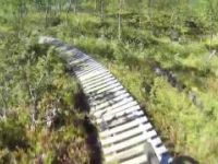Sweden Hemavan Bike Park Trail Nr 5