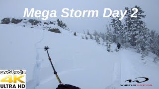 Whistler Day 2 of the Storm   Its waist deep...