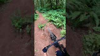 Low Key - Olympia, WA - MTB Trail...