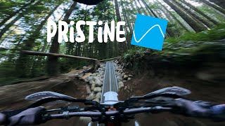 Mcnutt — Pristine