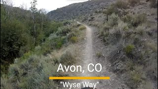 West Avon Preserve MTB trail - 'Wyse Way'