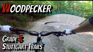 Woodpecker wall ride in South Germany