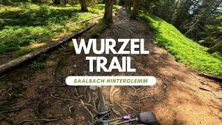Wurzel Trail Bikepark Saalbach Hintergelmm...