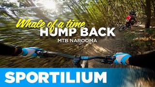 Hump Back Narooma MTB | Flow Trail with Jumps...