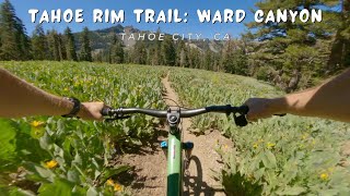 Tahoe Rim Trail: Ward Canyon / Tahoe City, CA...