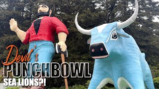 The Oregon Coast! Devil's Punch Bowl, Sea Lion...