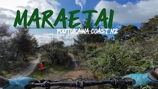 MARAETAI | POHUTUKAWA COAST | NEW ZEALAND