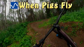 I don't mind riding in the rain...but awesome...