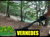 Vernedes