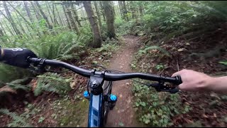 Lower Springboard - Lord Hill - Snohomish -...