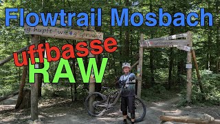 One of the Best Flowtrails in Germany! ...