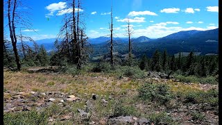 Rossland BC. Larch/Moniticola/COG/ Mxiɬp...