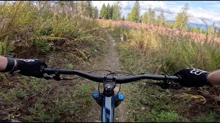 Lost Sole - Galbraith Mountain - Bellingham -...