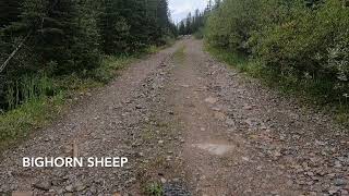 Elbow Loop in Kananaskis Country