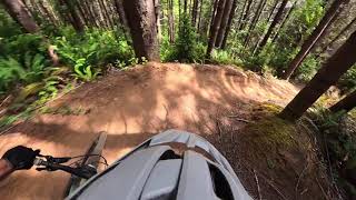 Whiskey Run | Bam-Ba-Lam 08-17-2025