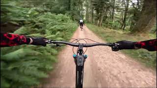 I Take A DJI Amflow To The Forest Of Dean.....