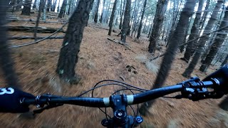 Majura Pines Mountain Biking (Rocksanne trail)...