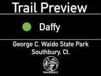 ‍♂️ Trail Preview: Daffy | George C....