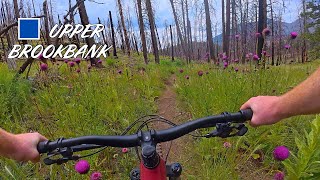 Flagstaff Trail Guide: Upper Brookbank