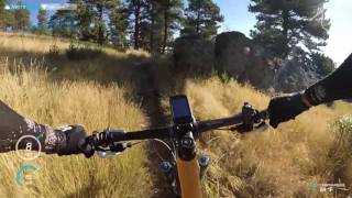 Round Up Loop Trail (Uphill) - Gimbal...