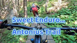 Antonius Trail L4 Into 'Back to the Roots...