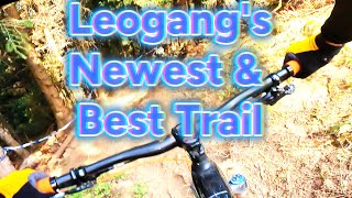 “Back to the Roots” – New  - Leogang’s...