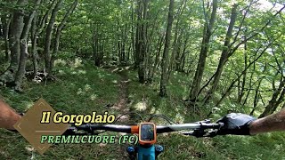 Gorgolaio, Premilcuore (FC) 26-08-2025