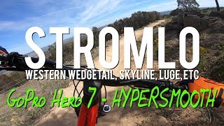 Stromlo - Western Wedgetail, Skyline, Luge,...